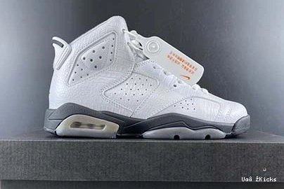 “Alligator” 6 Jordan GS Modern 634 384665- 7057 Air 0831